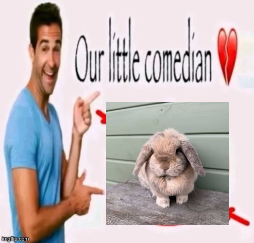 Floppy eared comedy | image tagged in our little comedian,memes | made w/ Imgflip meme maker
