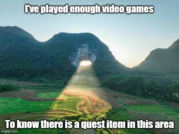 Quest Item | I've played enough video games; To know there is a quest item in this area | image tagged in video games,quest,beautiful,gaming | made w/ Imgflip meme maker