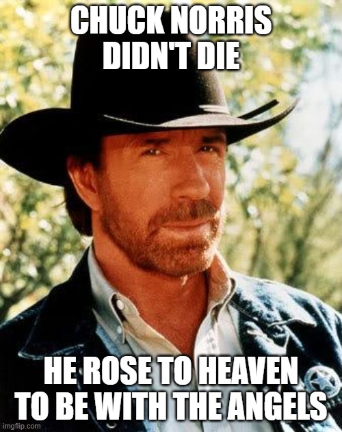 May peace rest in Chuck Norris (1940-2026). | Chuck Norris didn't die; He rose to heaven to be with the angels | image tagged in memes,chuck norris,chuck norris fact,heaven,angels,take that | made w/ Imgflip meme maker