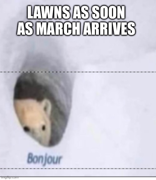 Grass Starts Growing | Lawns as soon as March arrives | image tagged in bonjor,lawn,grass,cut grass,growing | made w/ Imgflip meme maker