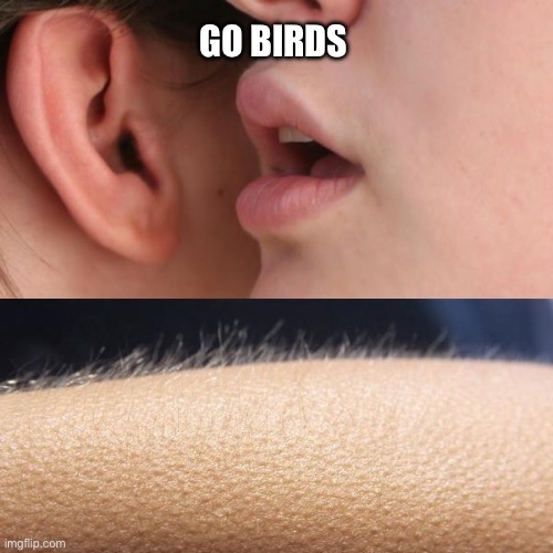 Go Birds | Go birds | image tagged in whisper and goosebumps,philadelphia eagles,go birds,nfl memes,football | made w/ Imgflip meme maker