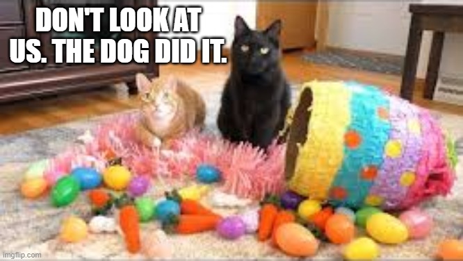 Cats say that the dog did it...... Happy Easter ...... | Don't look at us. The dog did it. | image tagged in cat,kittens,funny,humor,dog,easter | made w/ Imgflip meme maker