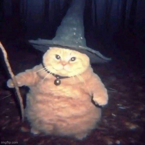 Wizard cat | image tagged in wizard cat | made w/ Imgflip meme maker