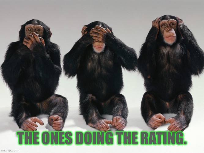 three monkeys | The ones doing the rating. | image tagged in three monkeys | made w/ Imgflip meme maker