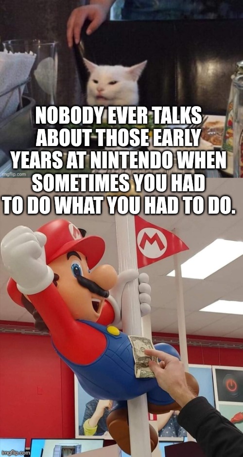 Nobody ever talks about those early years at Nintendo when sometimes you had to do what you had to do. | image tagged in smudge that darn cat | made w/ Imgflip meme maker