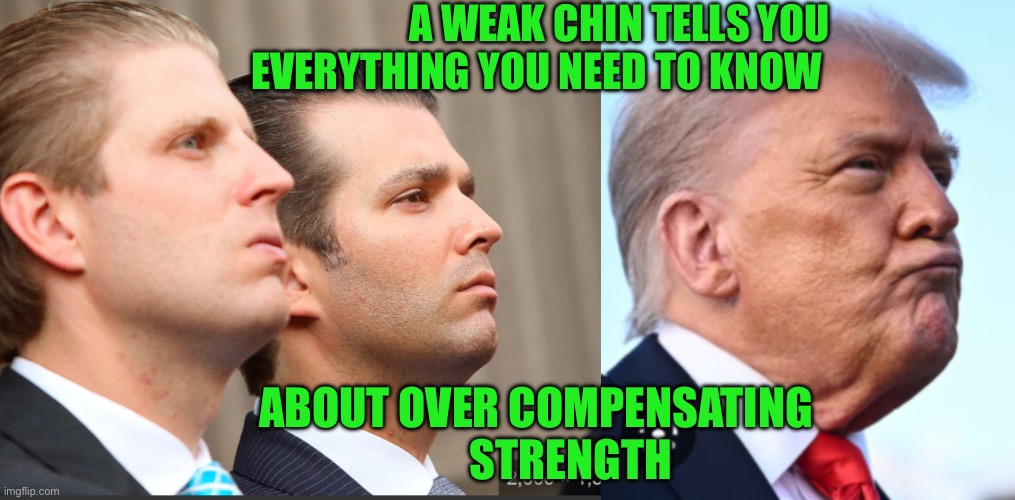 A weak chin tells you everything you need to know; About over compensating strength | made w/ Imgflip meme maker