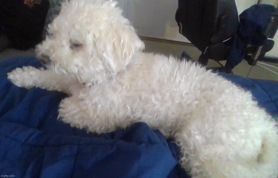 look at this thing | made w/ Imgflip meme maker