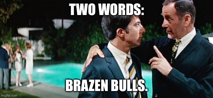 Plastics | Two words:; Brazen bulls. | image tagged in plastics | made w/ Imgflip meme maker