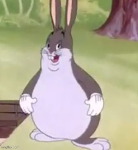 Big Chungus | image tagged in big chungus | made w/ Imgflip meme maker