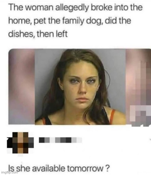Thief? | image tagged in thief,break in,dog,dishes | made w/ Imgflip meme maker