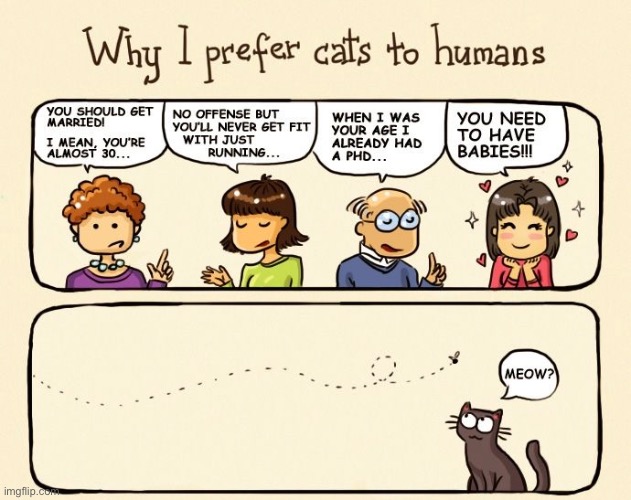 Hahahahaha yeah | image tagged in cats,funny cats,i prefer the real,honesty,comics/cartoons,human stupidity | made w/ Imgflip meme maker