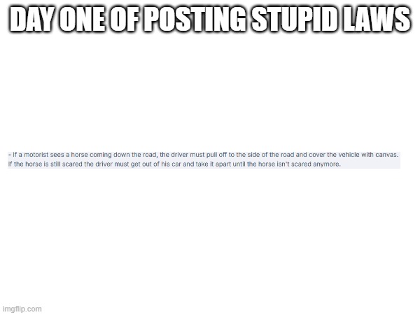 Dumb ahh law | Day one of posting stupid laws | image tagged in law | made w/ Imgflip meme maker