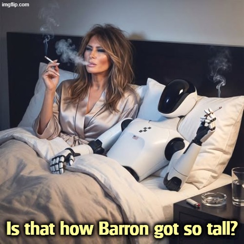 Outtake from the documentary? | Is that how Barron got so tall? | image tagged in melania trump with robot,melania trump,robot,smoking,bed,barron | made w/ Imgflip meme maker