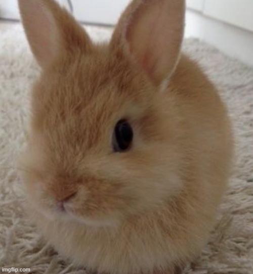 goodnight, have a good sleep y'all | made w/ Imgflip meme maker