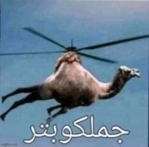 Camelcopter | image tagged in memes,repost,uhh,shitpost | made w/ Imgflip meme maker