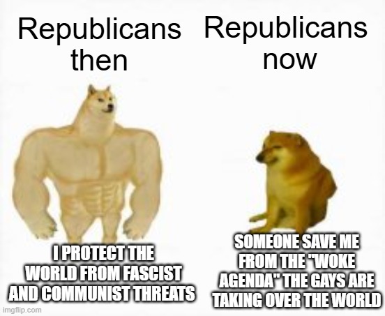 Two dogs | Republicans 
now; Republicans then; someone save me from the "Woke agenda" the gays are taking over the world; I protect the world from fascist and communist threats | image tagged in two dogs | made w/ Imgflip meme maker