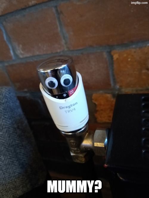 Googly eyes | mummy? | image tagged in googly eyes | made w/ Imgflip meme maker