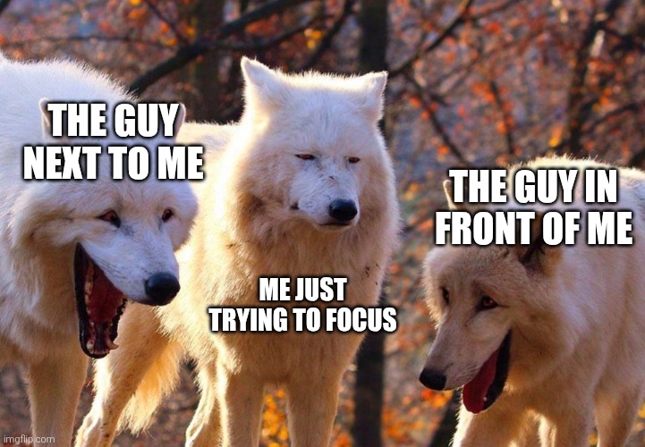Actual situation I have to deal with | The guy next to me; The guy in front of me; Me just trying to focus | image tagged in 2/3 wolves laugh | made w/ Imgflip meme maker