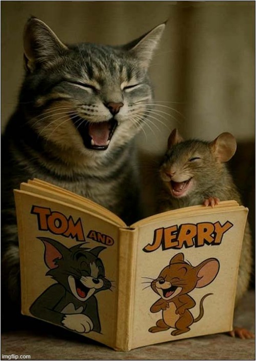 It's Story Time ! | image tagged in cats,mouse,reading,tom and jerry,story | made w/ Imgflip meme maker
