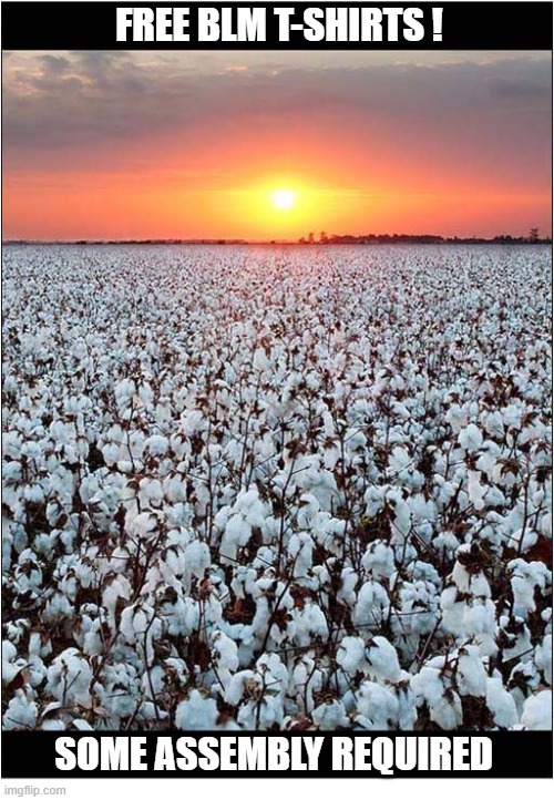 Free Stuff ! | Free BLM T-Shirts ! Some Assembly Required | image tagged in free stuff,blm,t shirts,assembly | made w/ Imgflip meme maker