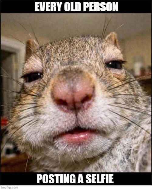 You Know Who You Are ! | every old person; posting a selfie | image tagged in old people,posting,selfie | made w/ Imgflip meme maker