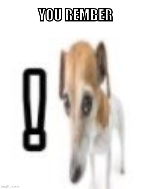 i rember | You Rember | image tagged in i rember | made w/ Imgflip meme maker