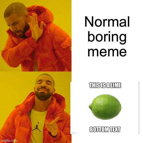 Drake Hotline Bling Meme | Normal boring meme | image tagged in memes,drake hotline bling | made w/ Imgflip meme maker