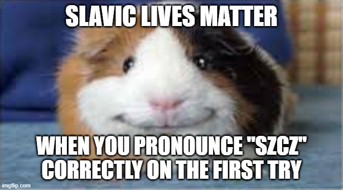 mission accomplished | Slavic Lives Matter; When you pronounce "szcz" correctly on the first try | image tagged in mission accomplished,slavic lives matter,black lives matter | made w/ Imgflip meme maker