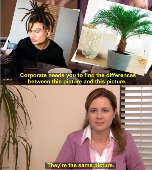 Just put a tree on your head at this point | image tagged in memes,they're the same picture,meme,funny,funny memes,funny meme | made w/ Imgflip meme maker