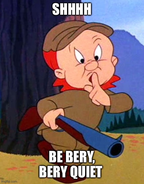 Shhhh Be bery, bery quiet | image tagged in elmer fudd | made w/ Imgflip meme maker