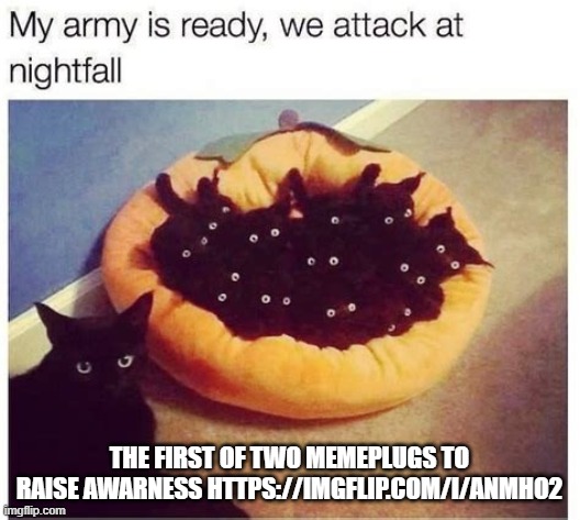 https://imgflip.com/i/anmho2 | the first of two memeplugs to raise awarness https://imgflip.com/i/anmho2 | image tagged in grimnemo's army | made w/ Imgflip meme maker