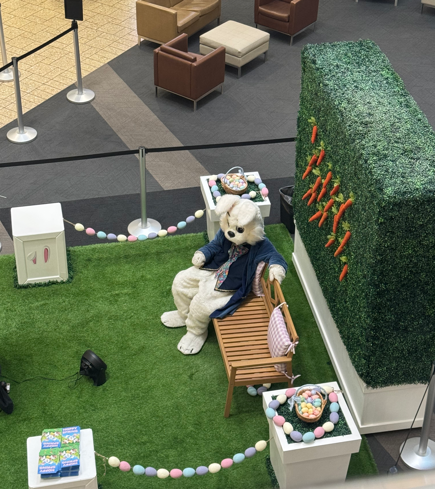 Sad Easter bunny Blank Meme Template