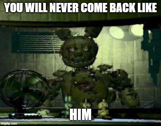 You will never come back like him | image tagged in fnaf springtrap in window | made w/ Imgflip meme maker