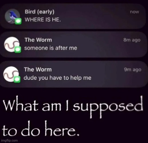 made w/ Imgflip meme maker