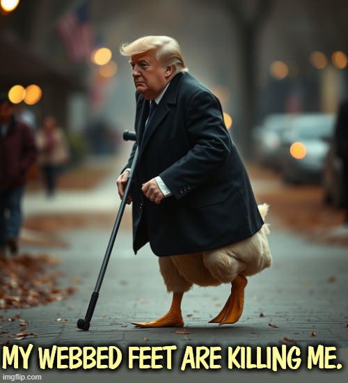 Donald Trump lame duck | My webbed feet are killing me. | image tagged in donald trump lame duck,trump,lame duck,failure,loser | made w/ Imgflip meme maker