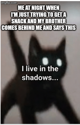 REEEEEEEEEEE | me at night when I'm just trying to get a snack and my brother comes behind me and says this | image tagged in gifs,cat,scared cat | made w/ Imgflip images-to-gif maker