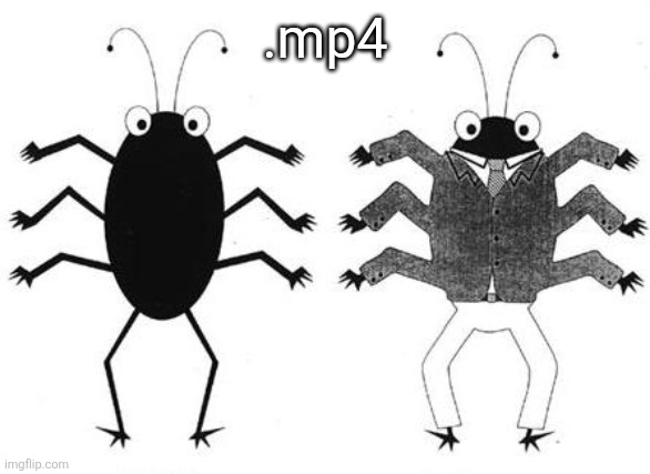 bug feature | .mp4 | image tagged in bug feature | made w/ Imgflip meme maker