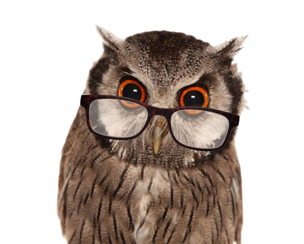 Biblo The Elbaph Owl Blank Meme Template