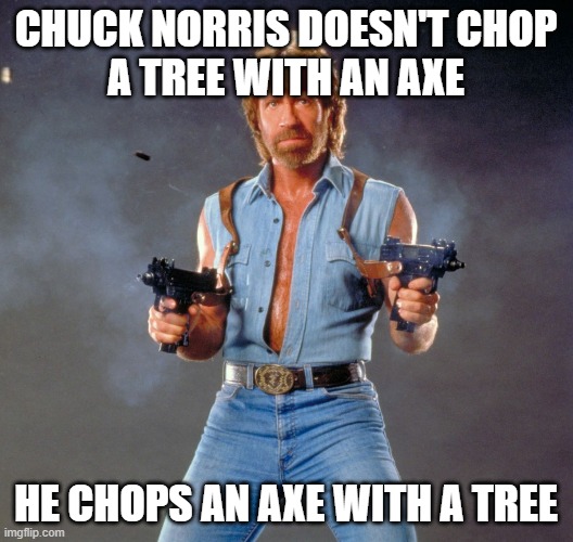 And the axe splits evenly in half, as two toothpicks. | Chuck Norris doesn't chop
a tree with an axe; He chops an axe with a tree | image tagged in memes,chuck norris guns,chuck norris,axe,tree,tough guy | made w/ Imgflip meme maker