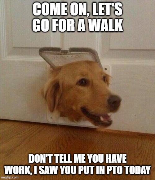 Dog walk PTO | Come on, let's go for a walk; Don't tell me you have work, I saw you put in PTO today | image tagged in dog door,pto,walk,dog | made w/ Imgflip meme maker
