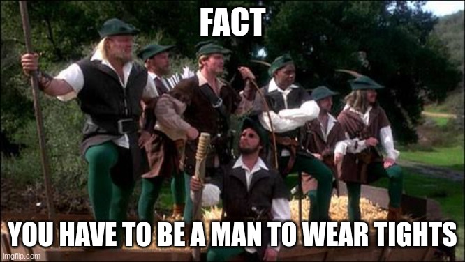 Robin Hood: men in tights | fact; you have to be a man to wear tights | image tagged in robin hood men in tights | made w/ Imgflip meme maker