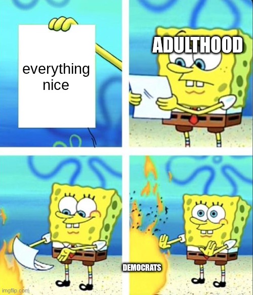 adults burn everything nice in democrats | ADULTHOOD; everything nice; DEMOCRATS | image tagged in spongebob yeet,remix | made w/ Imgflip meme maker