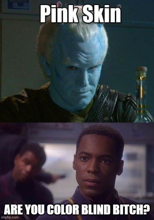 Color Issues | Are you color blind bitch? | image tagged in star trek enterprise | made w/ Imgflip meme maker