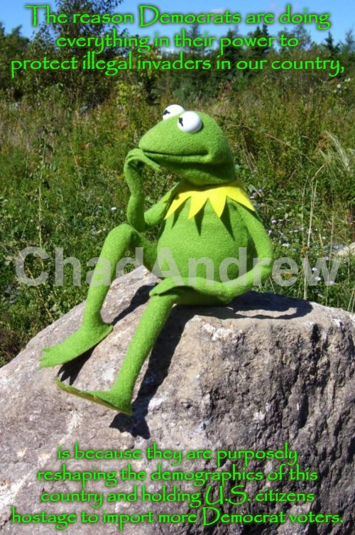 Democrats do NOT care about you. To them, you are expendable. If they regain power, they WILL come for you. | The reason Democrats are doing everything in their power to protect illegal invaders in our country, is because they are purposely reshaping the demographics of this country and holding U.S. citizens hostage to import more Democrat voters. | image tagged in kermit-thinking,democrats,illegal aliens,illegal invaders,ice,united states of america | made w/ Imgflip meme maker