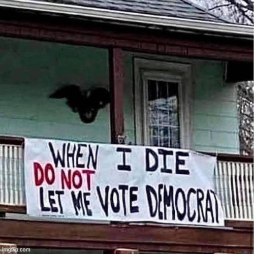 Fr | image tagged in memes,funny,democrats,politics,political meme | made w/ Imgflip meme maker