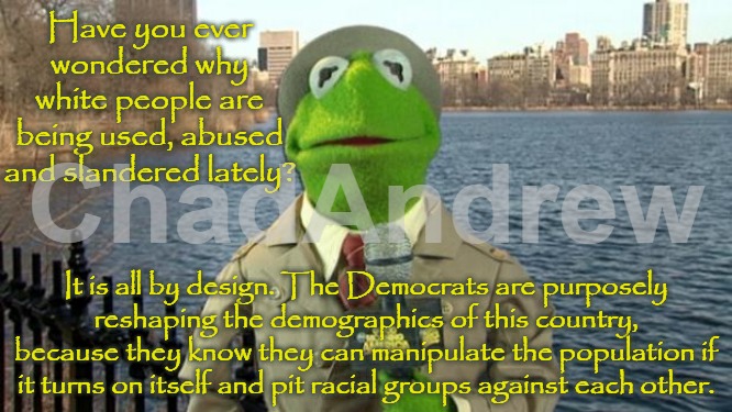 White people are being discriminated against and it is all by design. Racism is racism, regardless who it comes from. | Have you ever wondered why white people are being used, abused and slandered lately? It is all by design. The Democrats are purposely reshaping the demographics of this country, because they know they can manipulate the population if it turns on itself and pit racial groups against each other. | image tagged in kermit news report,racism,united states of america,democrats,illegal aliens | made w/ Imgflip meme maker