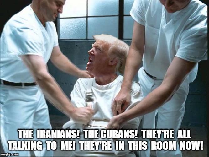 Why Won't You Believe Me! | the  iranians!  the cubans!  they're  all  talking  to  me!  they're  in  this  room  now! | image tagged in stop reading the tags | made w/ Imgflip meme maker