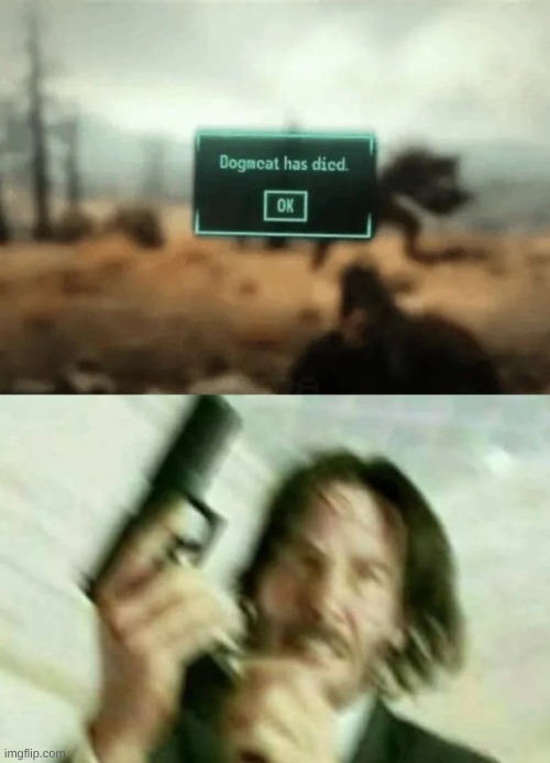 I didn't even know followers could die | image tagged in fallout 4 | made w/ Imgflip meme maker