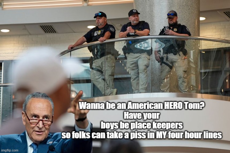 Women are changing babies in line | Wanna be an American HERO Tom?
Have your boys be place keepers so folks can take a piss in MY four hour lines | image tagged in schumer shut down tom homan ice meme,no plce for an old man prostate | made w/ Imgflip meme maker