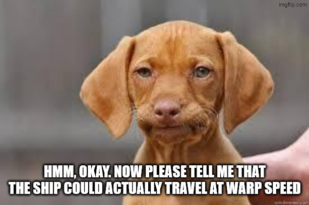Disappointed Dog | Hmm, okay. now please tell me that the ship could actually travel at warp speed | image tagged in disappointed dog | made w/ Imgflip meme maker